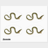 Sticker Ovale Anguilla anguilla (Feuille)