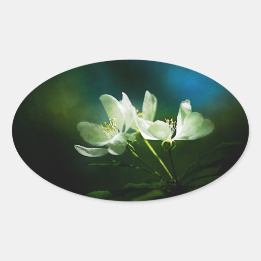 Sticker Ovale Apple Blossom - Deux Fleurs (Devant)