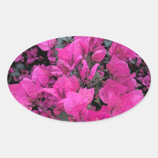 Sticker Ovale Aquarelle-Bougainvilliers (Devant)