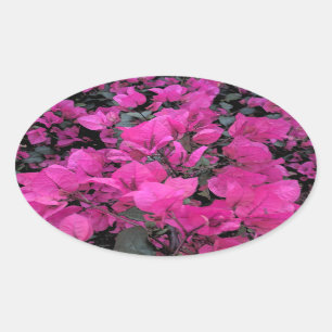 Sticker Ovale Aquarelle-Bougainvilliers