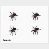 Sticker Ovale Araignée (Feuille)