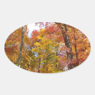 Sticker Ovale Arbres d'automne orange et jaune Photographie d'au