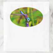 Sticker Ovale Arc en ciel libellule et fleur (Sac)