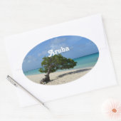 Sticker Ovale Aruba Divi Divi Tree (Enveloppe)