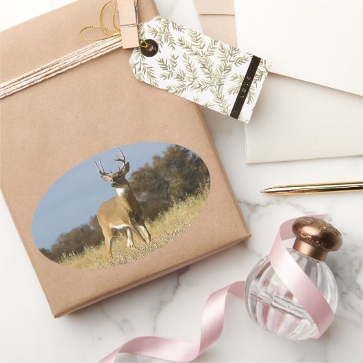 Sticker Ovale Automne Whitetail Buck (Cadeaux)