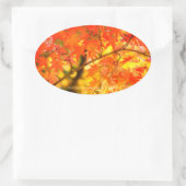 Sticker Ovale Autumn Leaves [Oval Seal] (Sac)