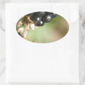 Sticker Ovale Baies d'automne (Sac)