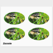 Sticker Ovale Ball Python serpent dans l'herbe (Feuille)
