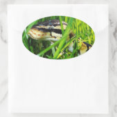 Sticker Ovale Ball Python serpent dans l'herbe (Sac)