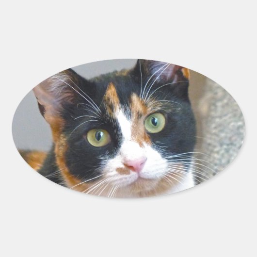 Sticker Ovale Bandit (Devant)