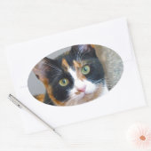 Sticker Ovale Bandit (Enveloppe)