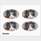 Sticker Ovale Bandit (Feuille)