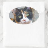 Sticker Ovale Bandit (Sac)