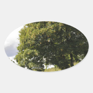 Sticker Ovale Bateaux de canal