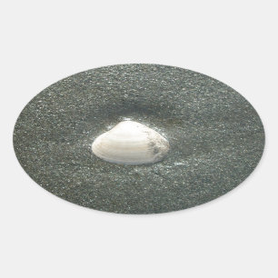 Sticker Ovale Beau coquillage dans le sable : Un souvenir salé