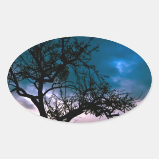 Sticker Ovale Beau coucher de soleil paysage Pittoresque Art pho