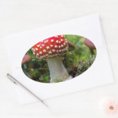 Sticker Ovale Beauté d'automne (Enveloppe)