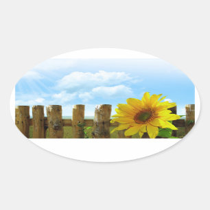 Sticker Ovale Beauté de nature de tournesol