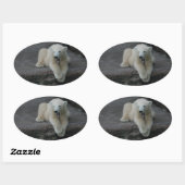 Sticker Ovale Bébé d'ours polaire (Feuille)