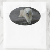Sticker Ovale Bébé d'ours polaire (Sac)