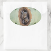 Sticker Ovale Bébé écureuils gris Noël (Sac)