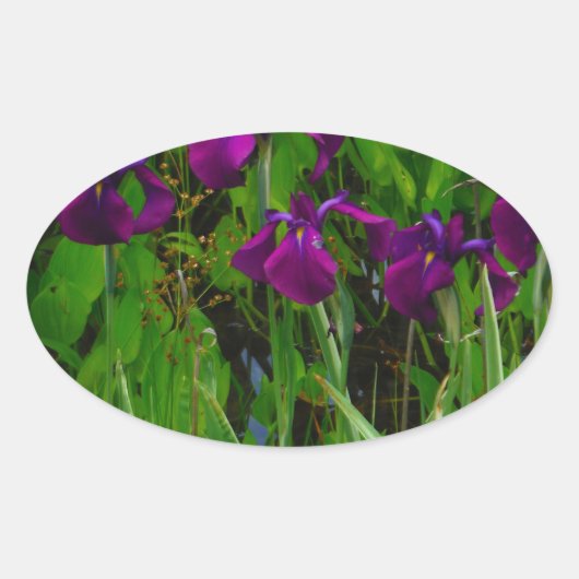 Sticker Ovale Belle Iris Violet (Devant)