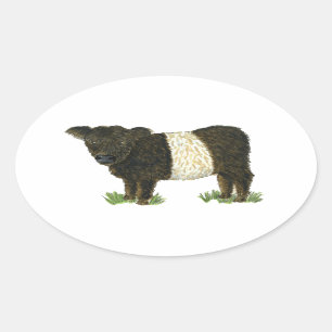 Sticker Ovale "Beltie" Galloway ceinturé