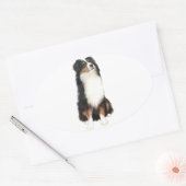 Sticker Ovale BERGER AUSTRALIEN (A) - Tri Color (Enveloppe)