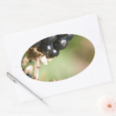Sticker Ovale Berries d'automne (Enveloppe)