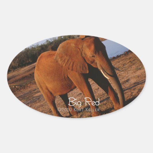 Sticker Ovale Big Red (Devant)