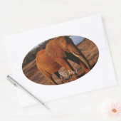 Sticker Ovale Big Red (Enveloppe)