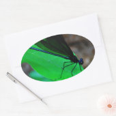 Sticker Ovale Blue Damselfly on a green leaf. (Enveloppe)