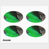 Sticker Ovale Blue Damselfly on a green leaf. (Feuille)