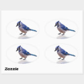 Sticker Ovale Blue Jay (Feuille)