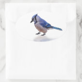 Sticker Ovale Blue Jay (Sac)