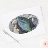 Sticker Ovale bluegill sur quai (Enveloppe)