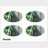 Sticker Ovale Bois de Grange frais coupé (Feuille)
