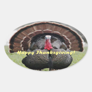 Sticker Ovale Bon thanksgiving Turquie