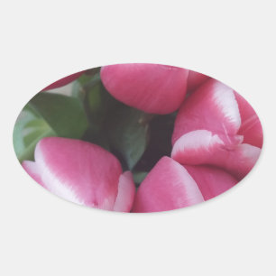 Sticker Ovale Bouquet de Pink Tulips, Flowers