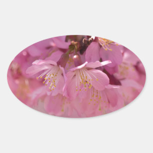Sticker Ovale Bouquet délicat de fleurs de cerisier Sakura rose