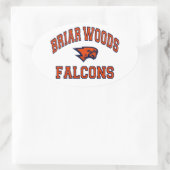 Sticker Ovale Briar Woods Falcons (Sac)