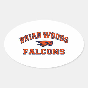Sticker Ovale Briar Woods Falcons