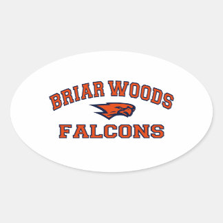 Sticker Ovale Briar Woods Falcons