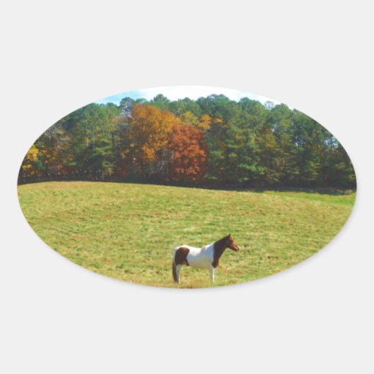 Sticker Ovale Brown & cheval blanc, arbres d'automne, ciel bleu (Devant)