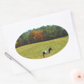 Sticker Ovale Brown & cheval blanc, arbres d'automne, ciel bleu (Enveloppe)