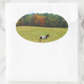 Sticker Ovale Brown & cheval blanc, arbres d'automne, ciel bleu (Sac)