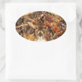 Sticker Ovale Buck in Camo White Tail Deer (Sac)