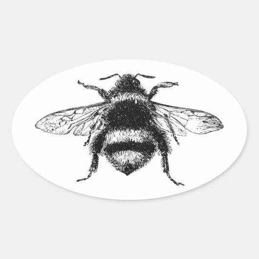 Sticker Ovale Bumble Bee classique (Devant)