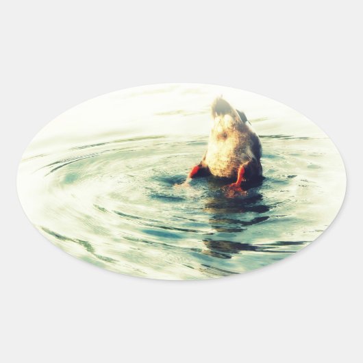 Sticker Ovale Ça Finit ! Bouton de canard (Devant)