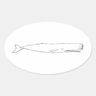 Sticker Ovale Cachalot (schéma)